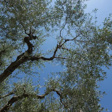 Hébergement de vacances Formica Bardolino