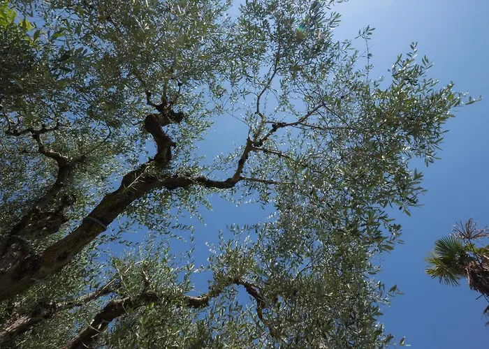 Nyaraló Formica Bardolino