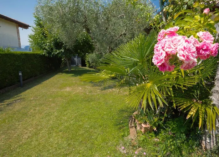 Formica ברדולינו